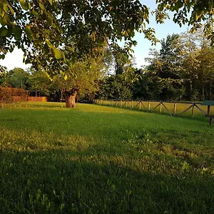 Veneta Vicenza